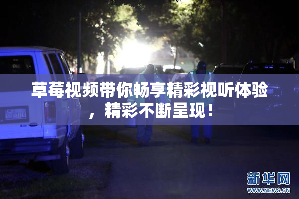 草莓视频带你畅享精彩视听体验，精彩不断呈现！
