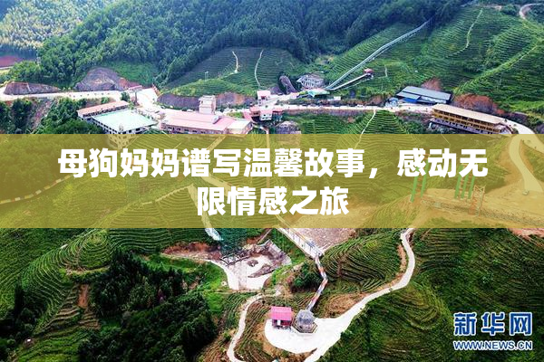 母狗妈妈谱写温馨故事，感动无限情感之旅