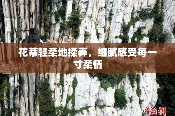 花蒂轻柔地揉弄，细腻感受每一寸柔情
