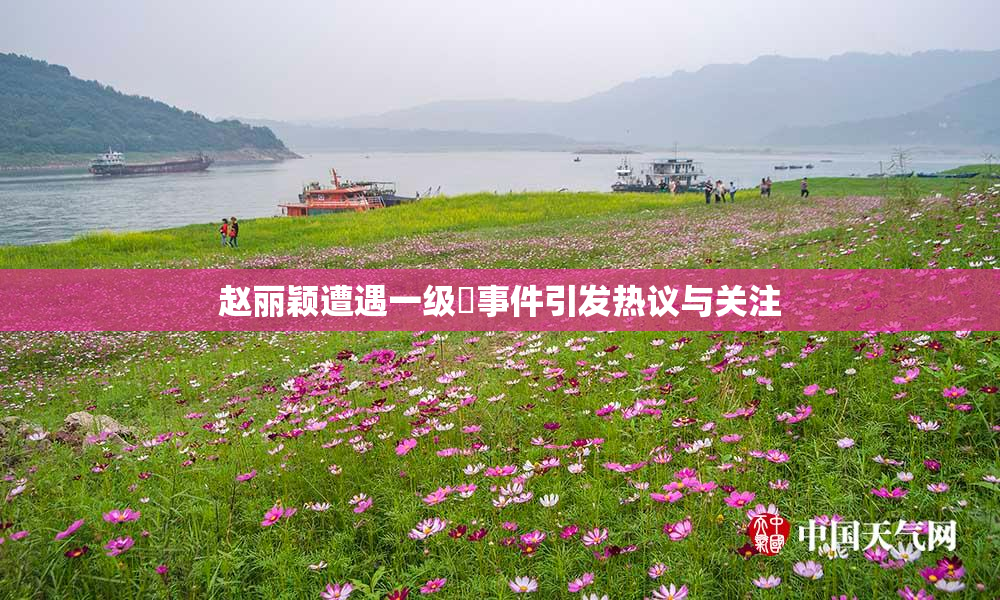 赵丽颖遭遇一级婬事件引发热议与关注