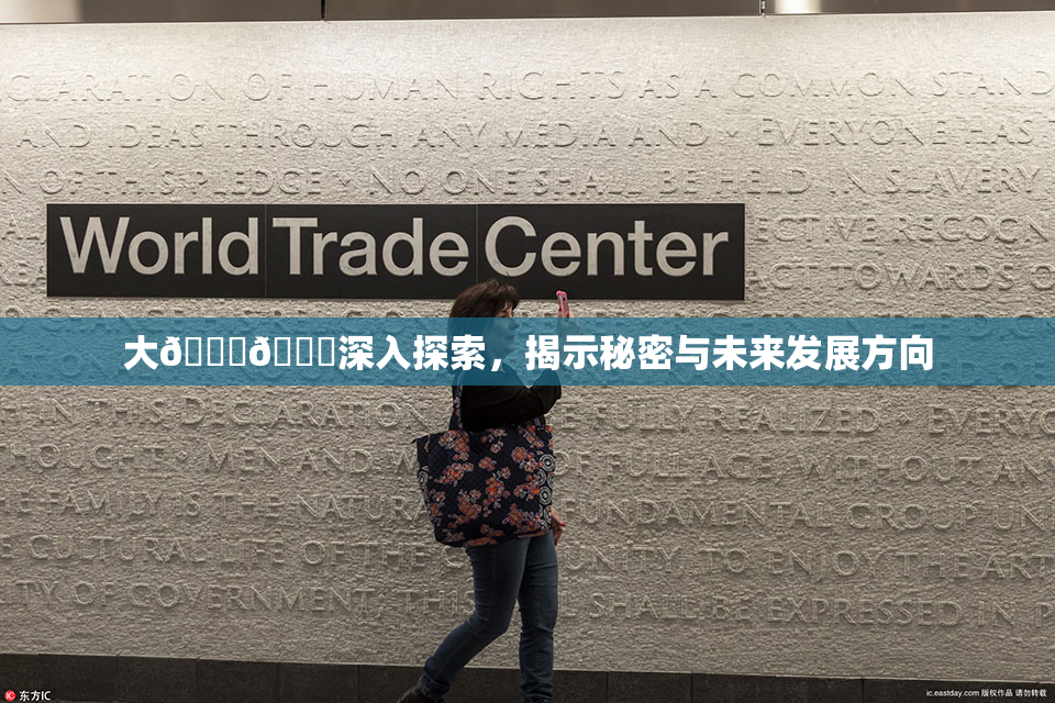 大🐔🐔深入探索，揭示秘密与未来发展方向
