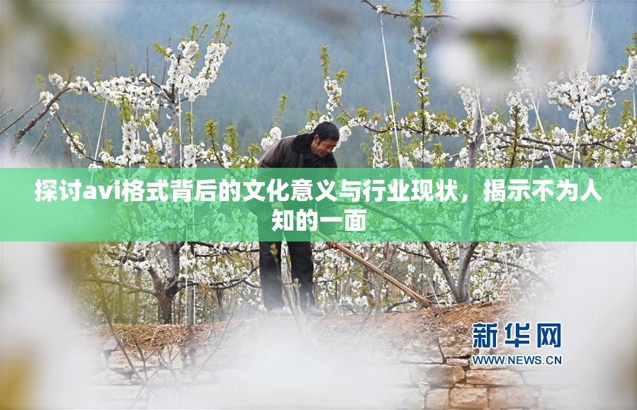 探讨avi格式背后的文化意义与行业现状，揭示不为人知的一面