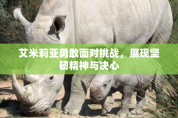 艾米莉亚勇敢面对挑战，展现坚韧精神与决心