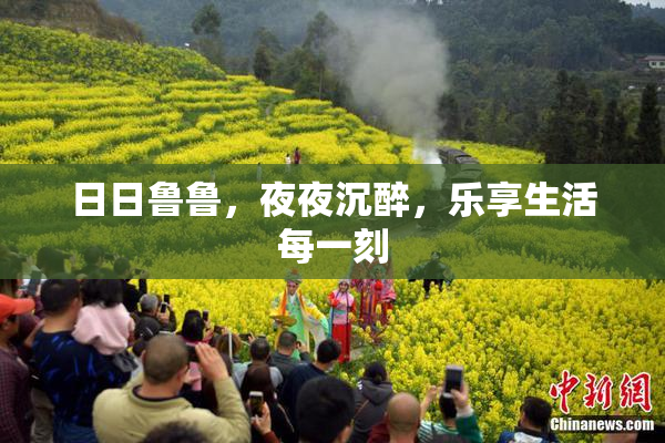 日日鲁鲁，夜夜沉醉，乐享生活每一刻
