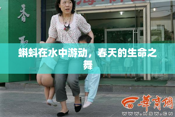 蝌蚪在水中游动，春天的生命之舞