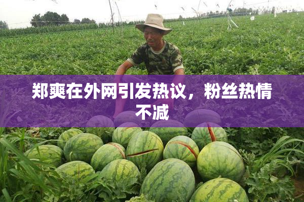 郑爽在外网引发热议，粉丝热情不减