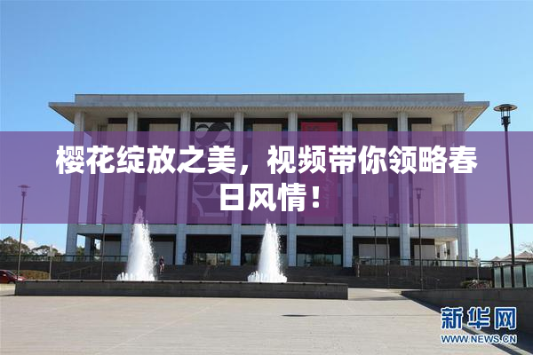 樱花绽放之美，视频带你领略春日风情！