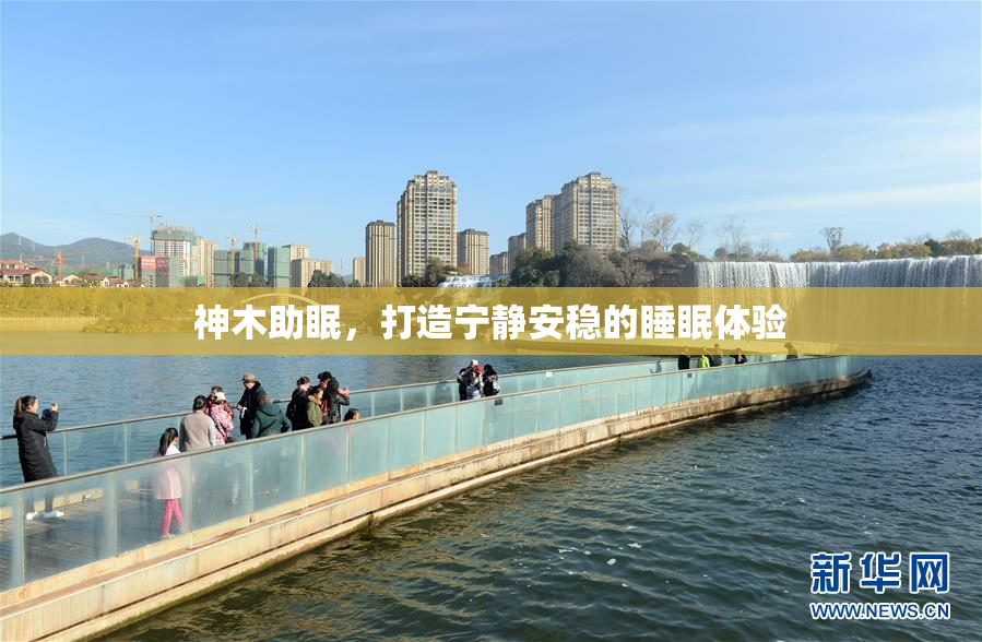 神木助眠，打造宁静安稳的睡眠体验