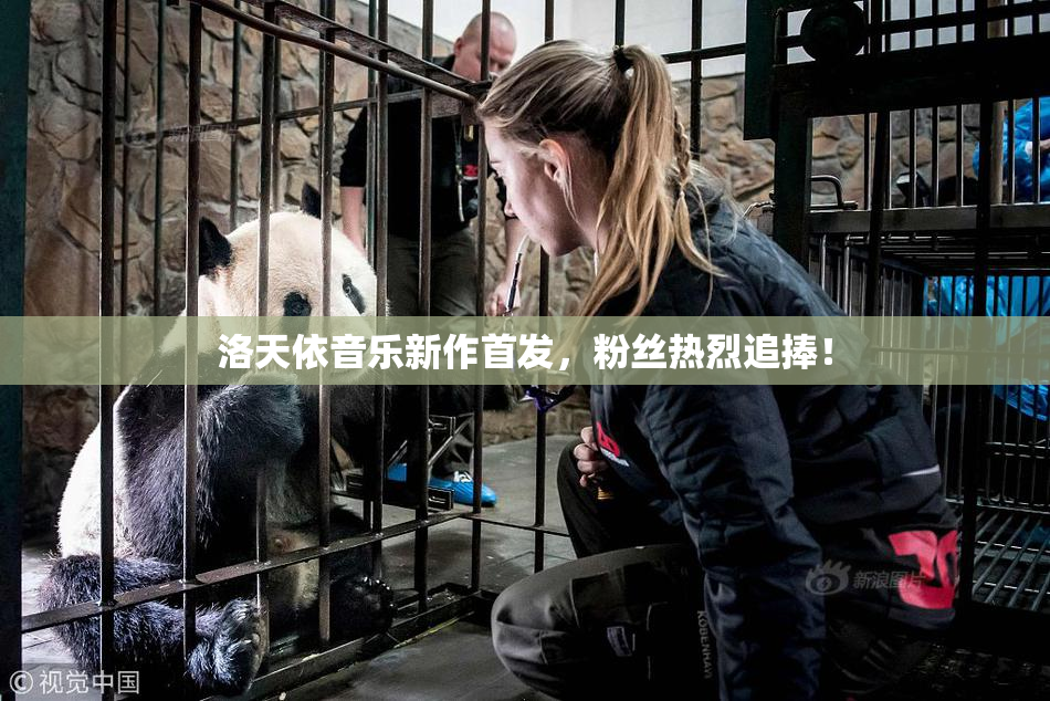 洛天依音乐新作首发，粉丝热烈追捧！