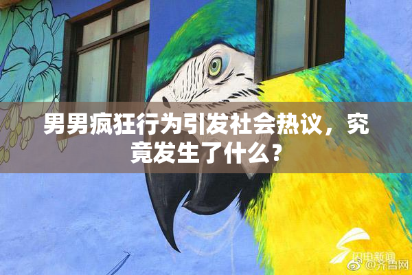 男男疯狂行为引发社会热议，究竟发生了什么？