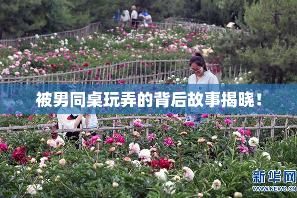 被男同桌玩弄的背后故事揭晓！