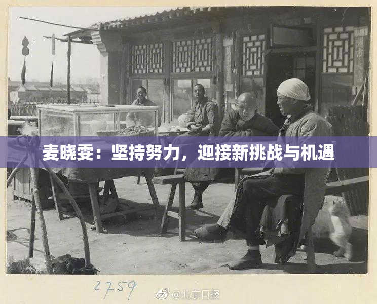 麦晓雯：坚持努力，迎接新挑战与机遇
