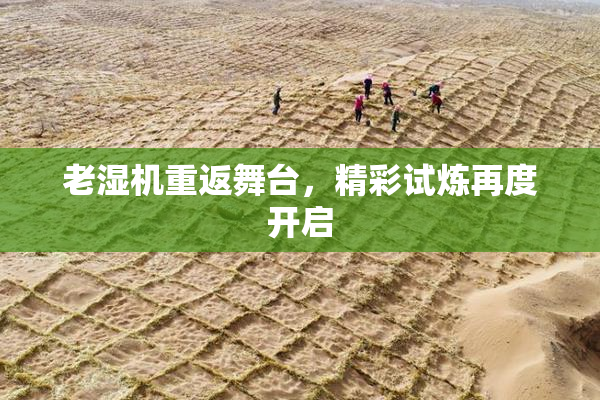 老湿机重返舞台，精彩试炼再度开启