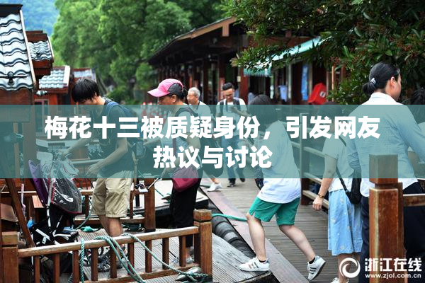 梅花十三被质疑身份，引发网友热议与讨论