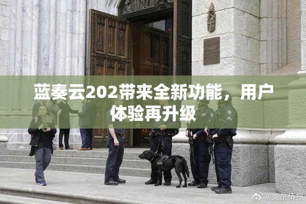 蓝奏云202带来全新功能，用户体验再升级