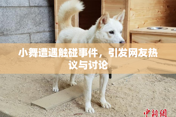 小舞遭遇触碰事件，引发网友热议与讨论