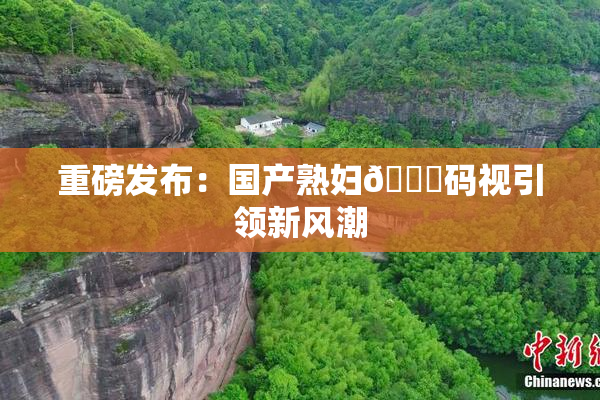 重磅发布：国产熟妇🈚码视引领新风潮