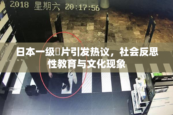 日本一级婬片引发热议，社会反思性教育与文化现象