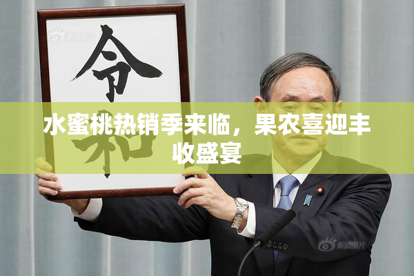 水蜜桃热销季来临，果农喜迎丰收盛宴