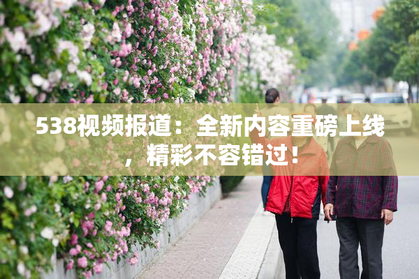 538视频报道：全新内容重磅上线，精彩不容错过！