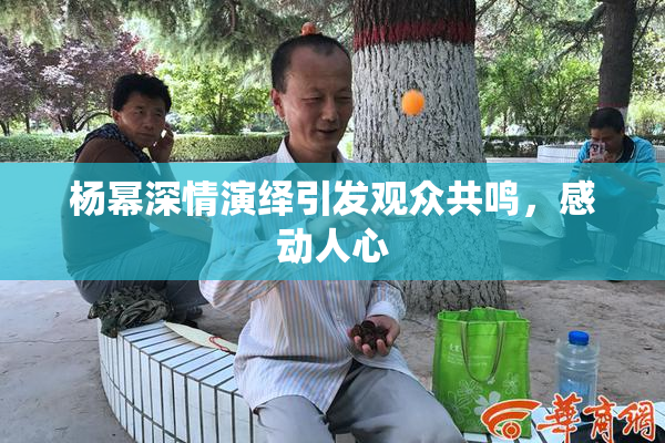 杨幂深情演绎引发观众共鸣，感动人心