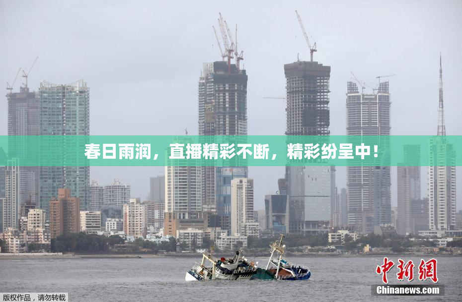 春日雨润，直播精彩不断，精彩纷呈中！