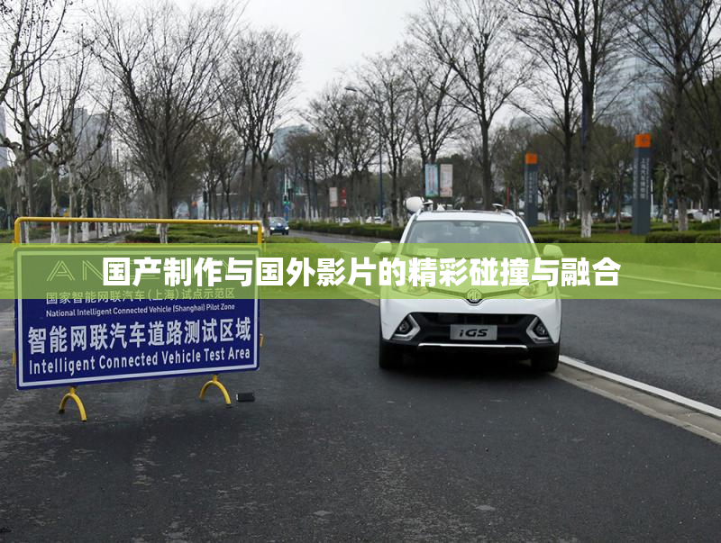 国产制作与国外影片的精彩碰撞与融合