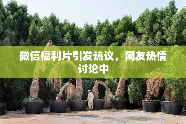 微信福利片引发热议，网友热情讨论中
