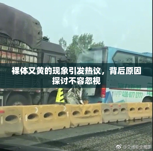 裸体又黄的现象引发热议，背后原因探讨不容忽视
