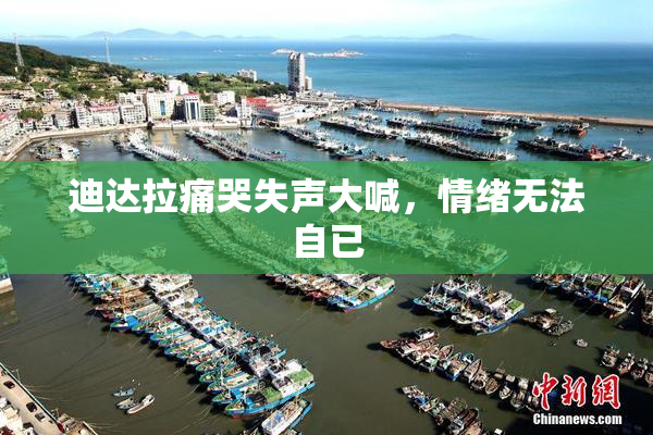 迪达拉痛哭失声大喊，情绪无法自已