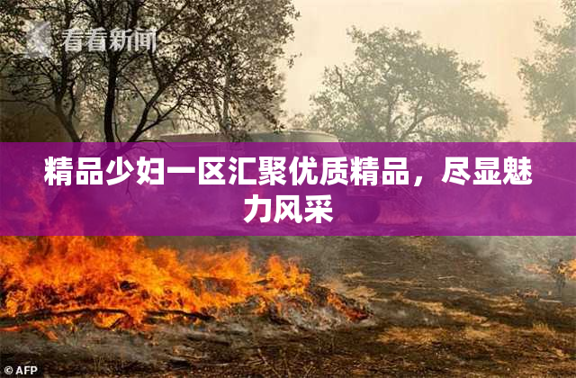 精品少妇一区汇聚优质精品，尽显魅力风采