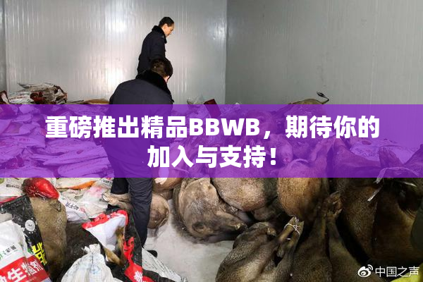 重磅推出精品BBWB，期待你的加入与支持！