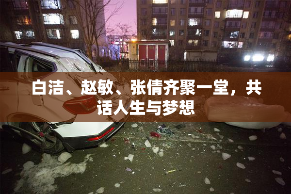 白洁、赵敏、张倩齐聚一堂，共话人生与梦想