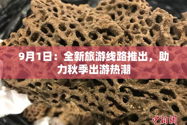 9月1日：全新旅游线路推出，助力秋季出游热潮
