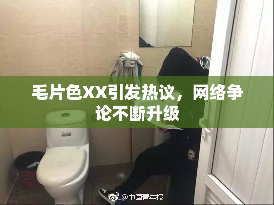 毛片色XX引发热议，网络争论不断升级