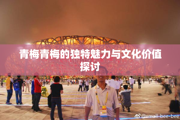 青梅青梅的独特魅力与文化价值探讨