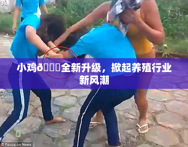 小鸡🐔全新升级，掀起养殖行业新风潮