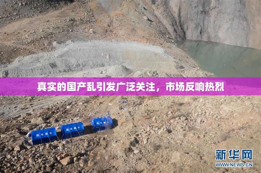真实的国产乱引发广泛关注，市场反响热烈