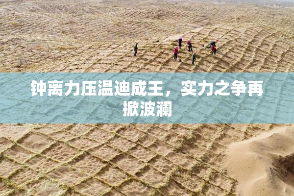 钟离力压温迪成王，实力之争再掀波澜