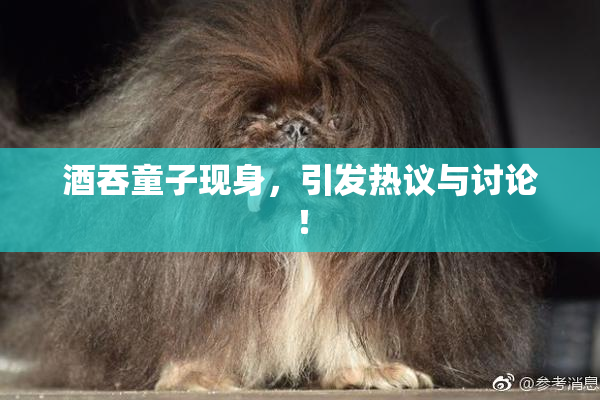 酒吞童子现身，引发热议与讨论！