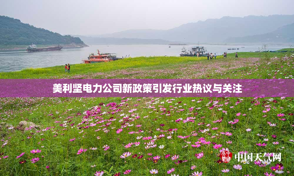 美利坚电力公司新政策引发行业热议与关注