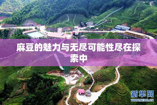 麻豆的魅力与无尽可能性尽在探索中