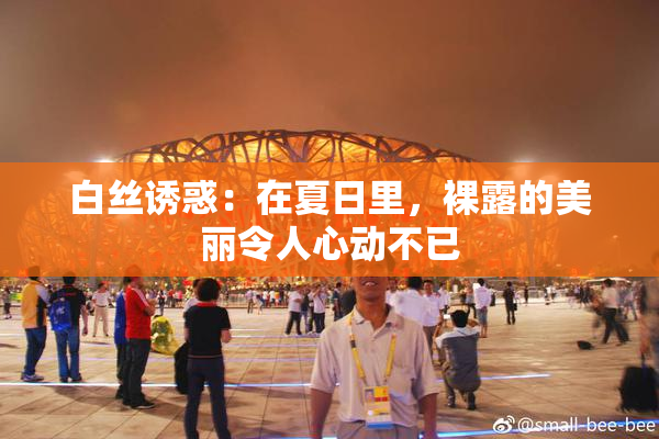 白丝诱惑：在夏日里，裸露的美丽令人心动不已