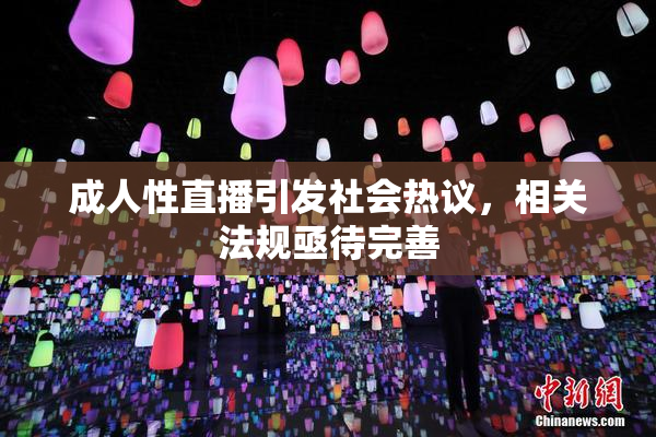 成人性直播引发社会热议，相关法规亟待完善