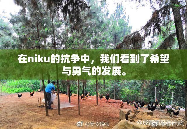 在niku的抗争中，我们看到了希望与勇气的发展。