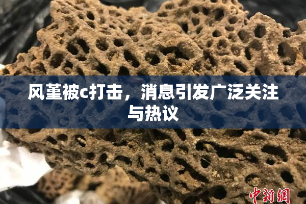 风堇被c打击，消息引发广泛关注与热议