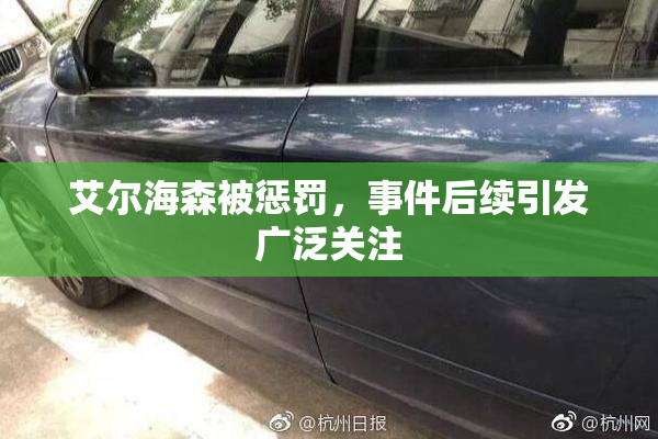 艾尔海森被惩罚，事件后续引发广泛关注