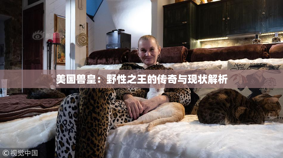 美国兽皇：野性之王的传奇与现状解析