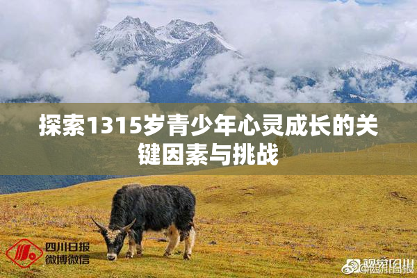 探索1315岁青少年心灵成长的关键因素与挑战