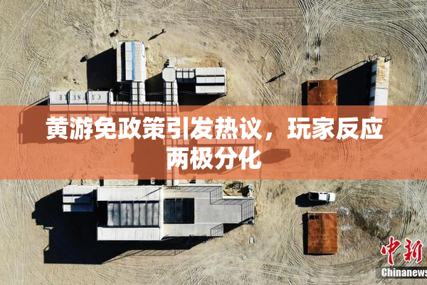黄游免政策引发热议，玩家反应两极分化